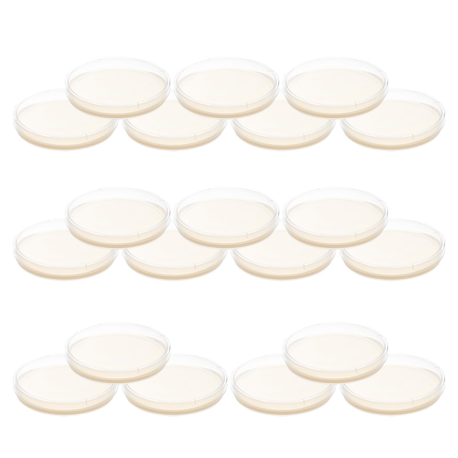 ULTECHNOVO Sterile Nährboden Petrischalen mit Agar 9cm 20 Stück Gebrauchsfertig für Mikrobiologische Kulturen im Labor und Qualitätskontrolle