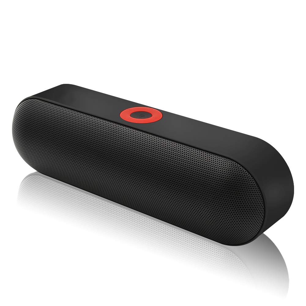 Portable Speaker with Dual Driver Loudspeaker 12 s Playtime Audio Subwoofer Speakers with Mic