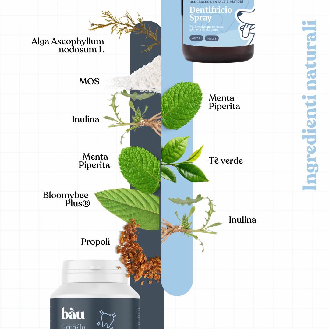 Bàu Kit Igiene Orale Cane Completo – Polvere Antiplacca con Ascophyllum Nodosum + Dentifricio Spray – Rimuove Tartaro, Alito Fresco, Denti e Gengive Sane Senza Spazzolino
