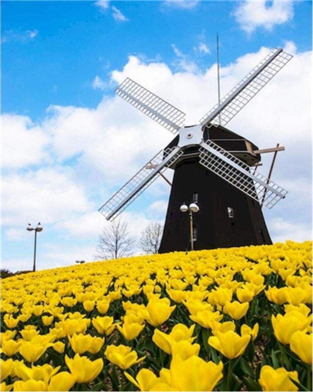 Painting numérique moulin à vent adulte fleur 40x50cm tableau loisir créatif à peindre