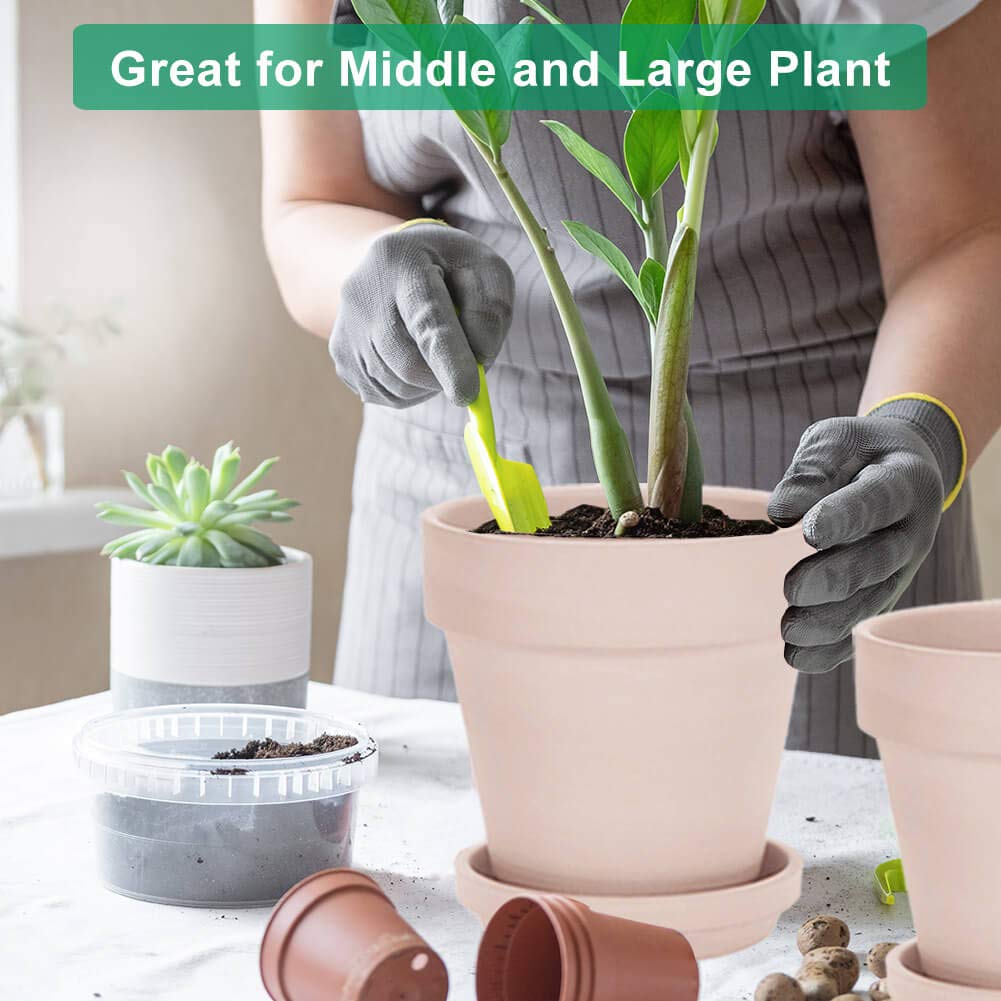 https://m.media-amazon.com/images/I/61rMICoZcJL.jpg