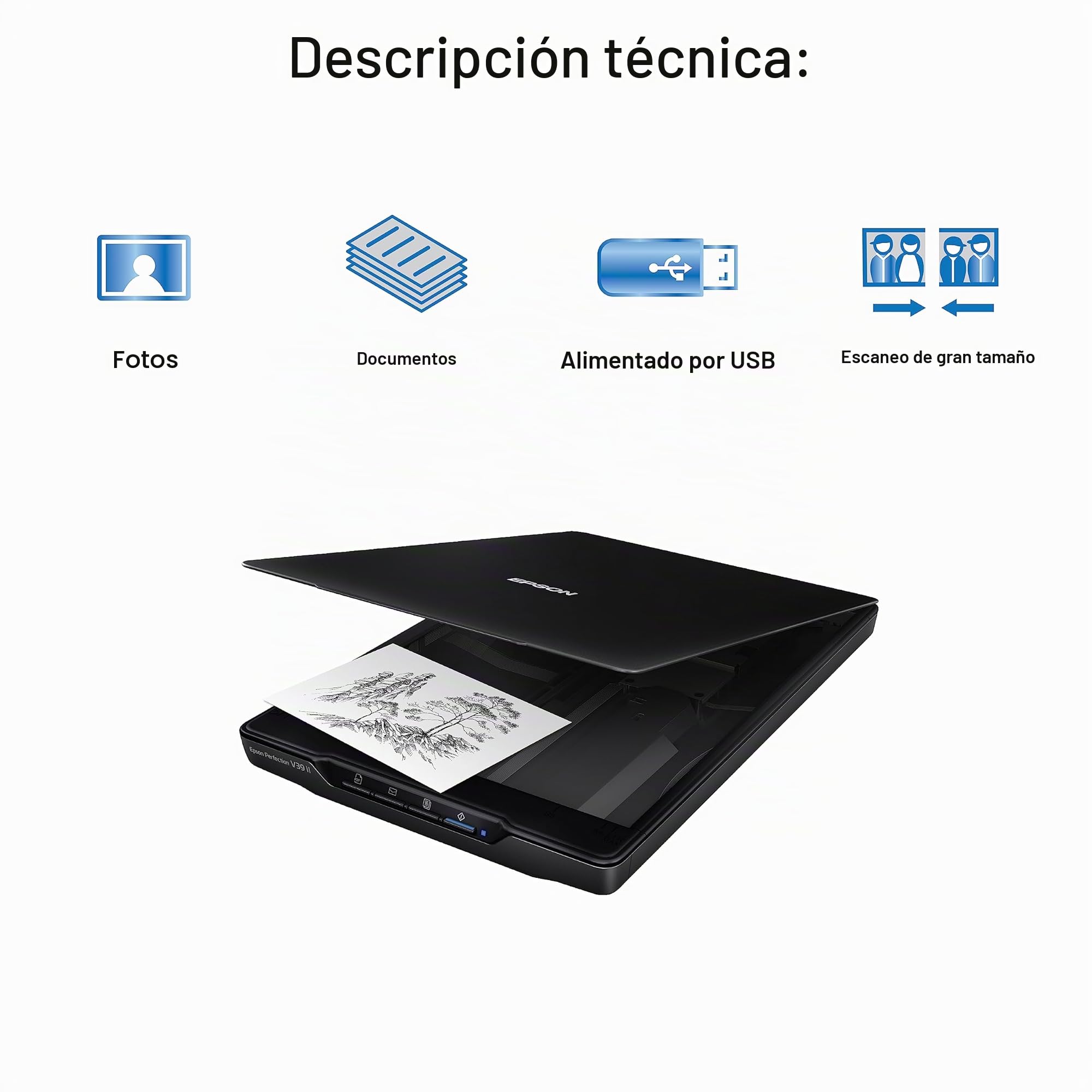 Epson Perfection V39 II - Escáner Plano de Fotos y Documentos a Color con resolución óptica de 4800 PPP, escaneo a la Nube, alimentación USB y Tapa extraíble de Gran Altura