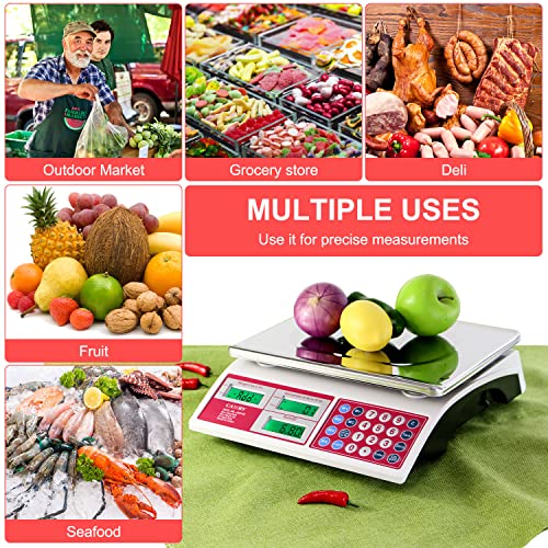 Camry Digital Price Computing Scale 66Lb/30Kg Commercial Produce Scale With Stainless Steel Platform And Green Backlight Lcd Display For Meat, Fruit, Ideal For Deli, Farmers Markets, Restaurants #TOP7