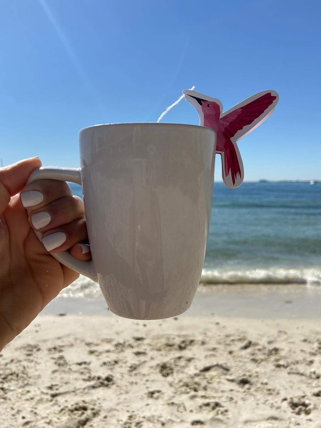 Tayro Tea Hibiscus 16 Organic Pyramid Tea Bags holding by Hummingbirds