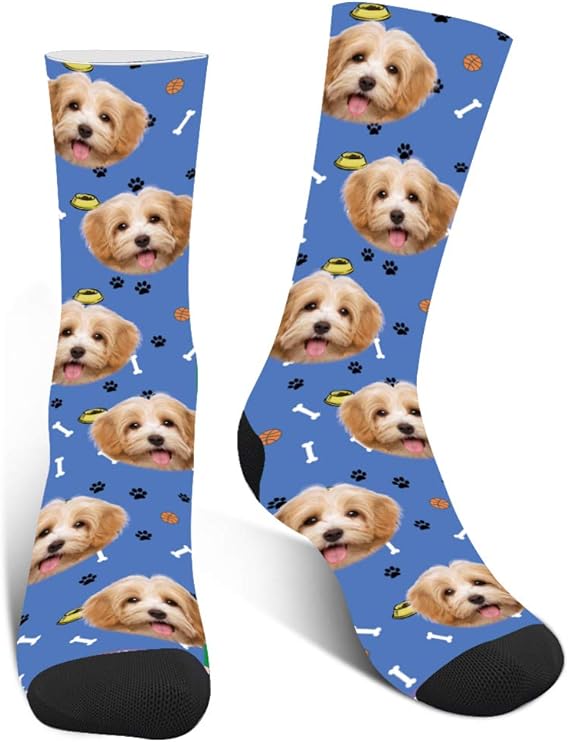 How To Put Socks On A Dog