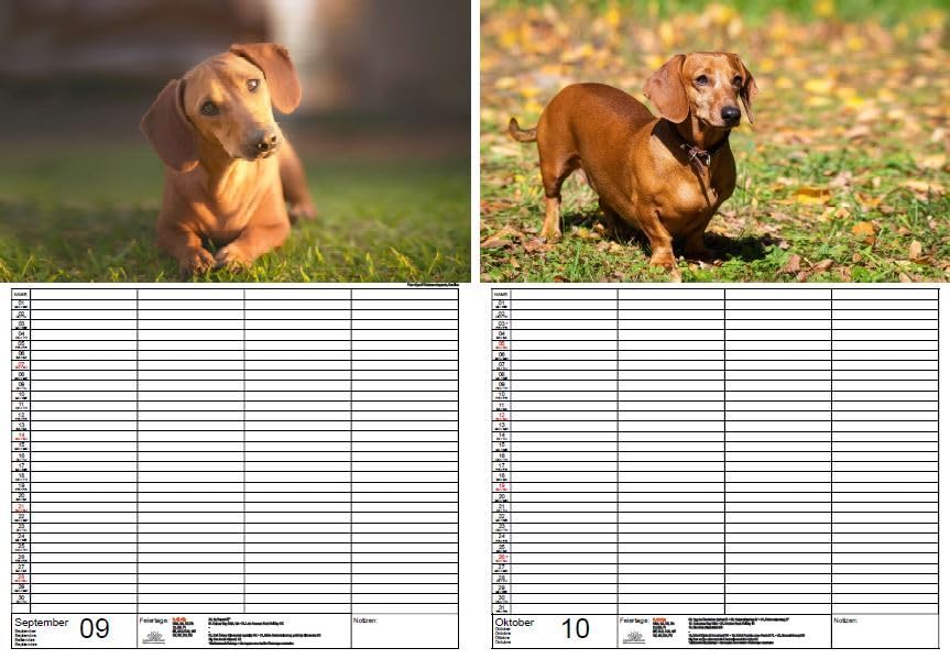 Seelenzauber Wandkalender Wegezauber Planer DN A3 Kalender für 2024