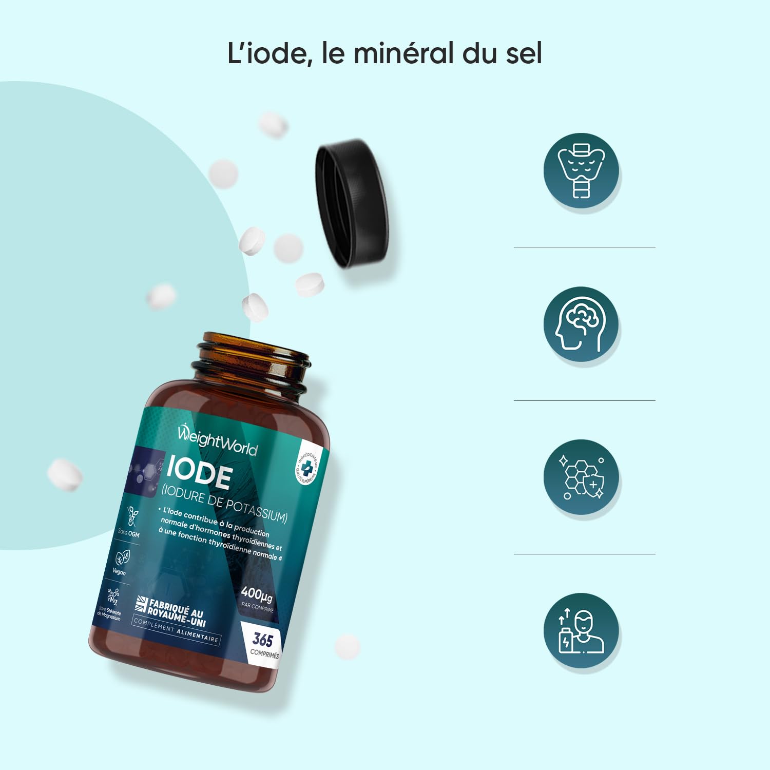Iode 400μg - 365 Micro Comprimés Vegan - 1 Comprimé tous les 3 Jours - Iodure de Potassium Stable sans OGM ni Stéarate de Magnésium - Apport Standardisé d'Iode