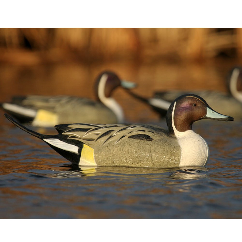 Greenhead Gear Over-Size Duck Decoy,Pintails,1/2 Dozen