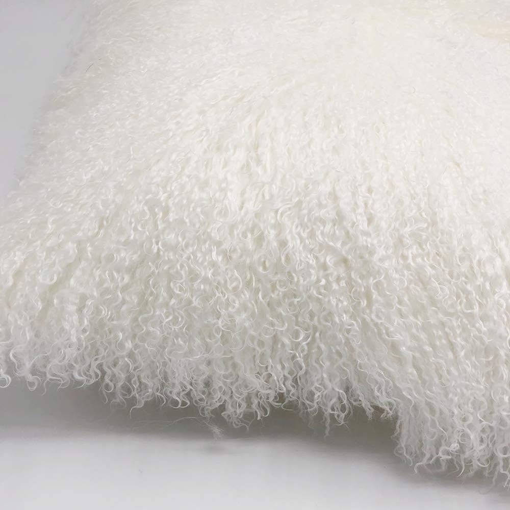 Luxury Tibetan Lamb Fur Pillowcase Decorative Cushion Covers for Couch, Sofa, Living Room (White, 24x24in)