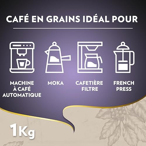 Lavazza, Espresso Barista Intenso, Café en Grains, 4 Kg, Idéal pour les Machines à Café Automatiques, Notes Aromatiques de Cacao et Boisées, Intensité 9/10, Torréfaction Moyenne - 8