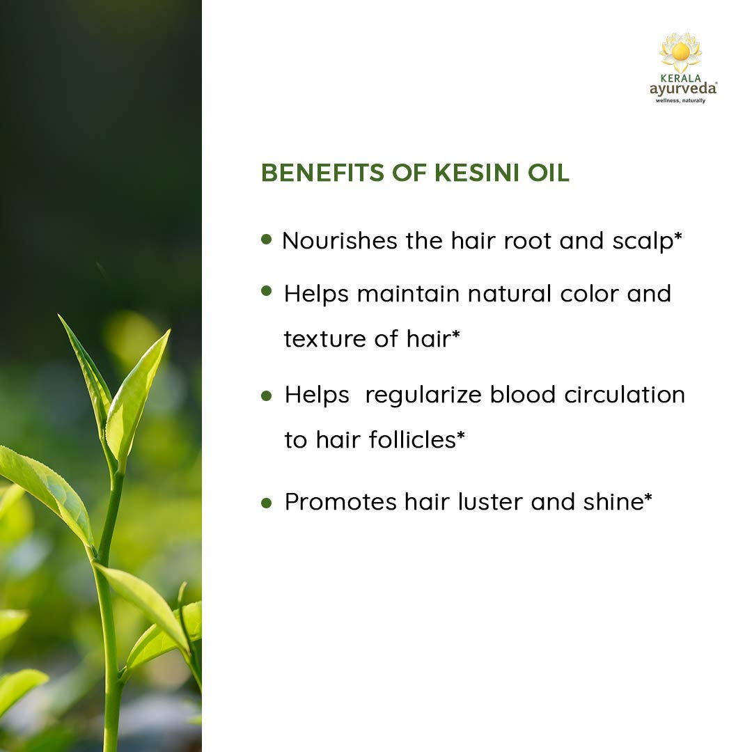 Buy Kerala Ayurveda Kesini Oil Herbal Hair Oil Enriched with Amla and