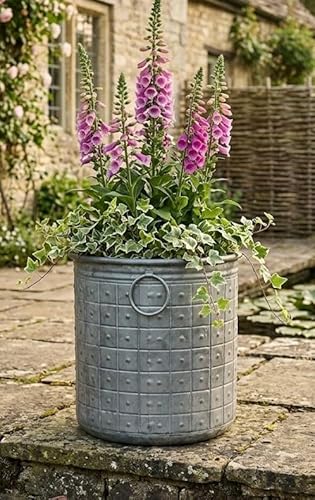 My Square Mile Rustic Galvanised Metal Planters Round Dolly Vintage Garden Pots With Handles & Riveted Details (Medium (H41 X D36Cm)) - 3