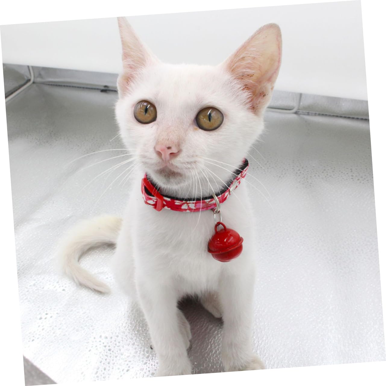 Sosoport 3er-Sets Haustierhalsband Im Blumendesign Katzenhalskette Im Japanischen Stil Mit Sicherheitsschnalle Und Glöckchen Modisches Haustierhalsband Für Hunde Größe S 3 Stück * 3