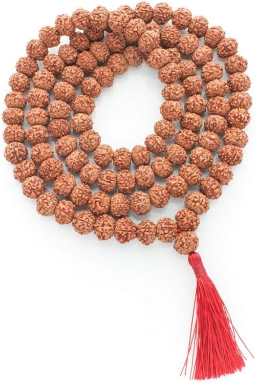 Amorfos® Natural Lakshmi Mala 7 Mukhi Rudraksha Mala for Astrology (108+1 Beads)