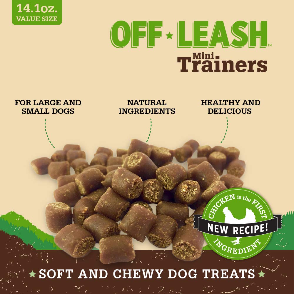 off leash mini trainers