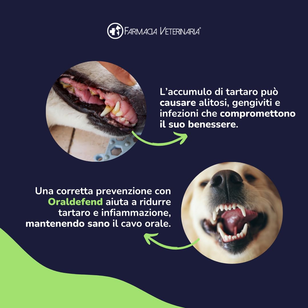 Farmacia Veterinaria Oraldefend Dentifricio per Cani Polvere Pulizia Denti 100g Anti Tartaro Alitosi