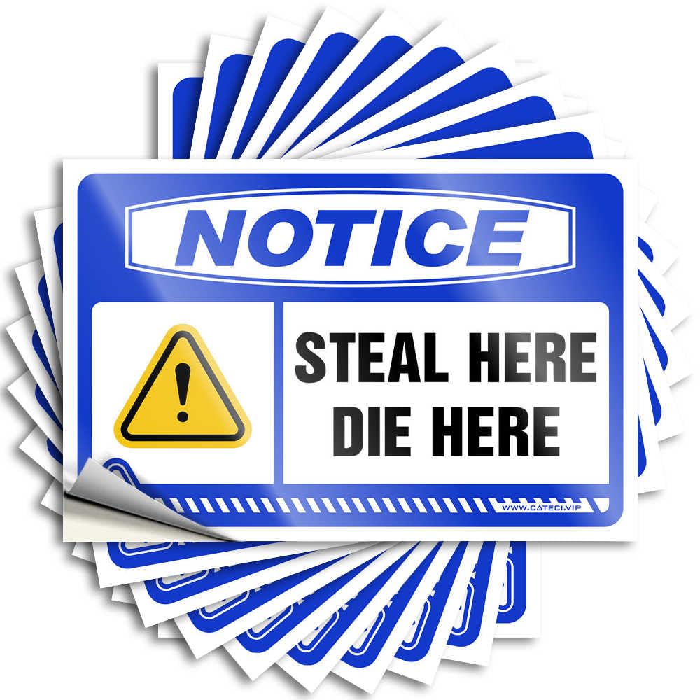 Car for Outside of Funny Billiard Labels Magnetic Bumper Weatherproof | Notice Steal Here Die Decals Women(8X12CM-5Pcs)