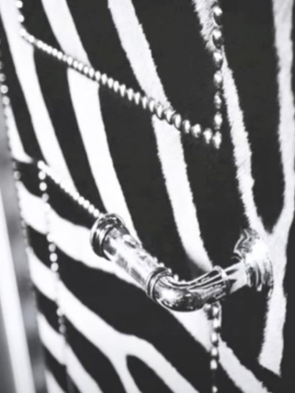 General Notebook: The Big Book of Chic (Hardcover)