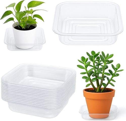 UltraOutlet Paquete de 30 bandejas cuadradas para macetas, platillos de 4 pulgadas para plantas de exterior e interior, platillos transparentes para