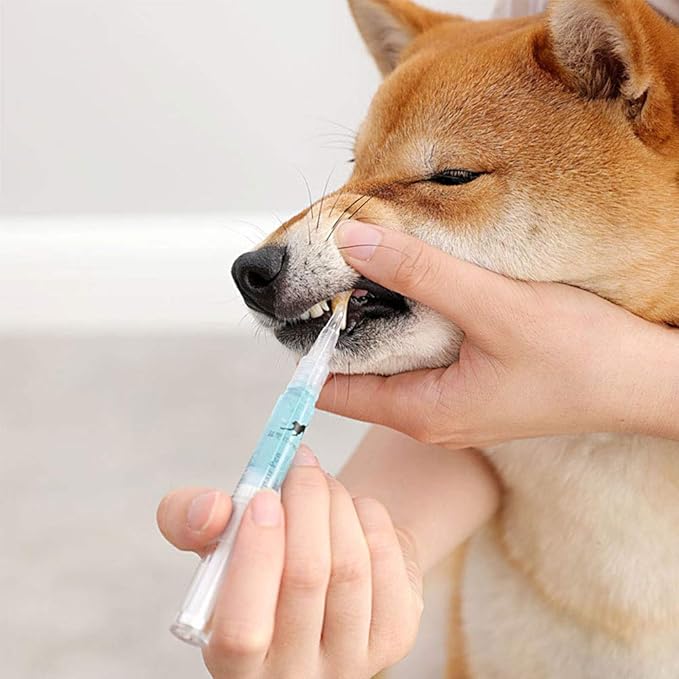 dog teeth cleaning kit amazon