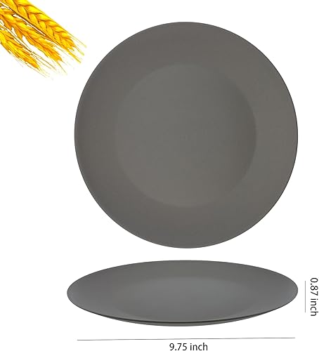 Miniatura 10 de WEXINHAO Juego de 8 platos de paja de trigo de 10 pulgadas, platos planos irrompibles, sin BPA, aptos para lavavajillas y microondas, platos de