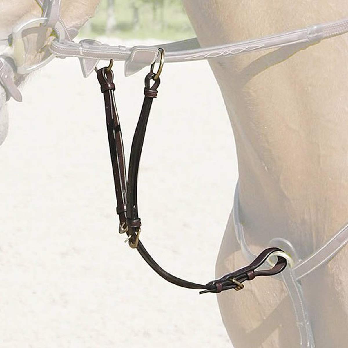 Dy'on Running Martingale Attachment Collection in Size: Full. - Marrón - Full