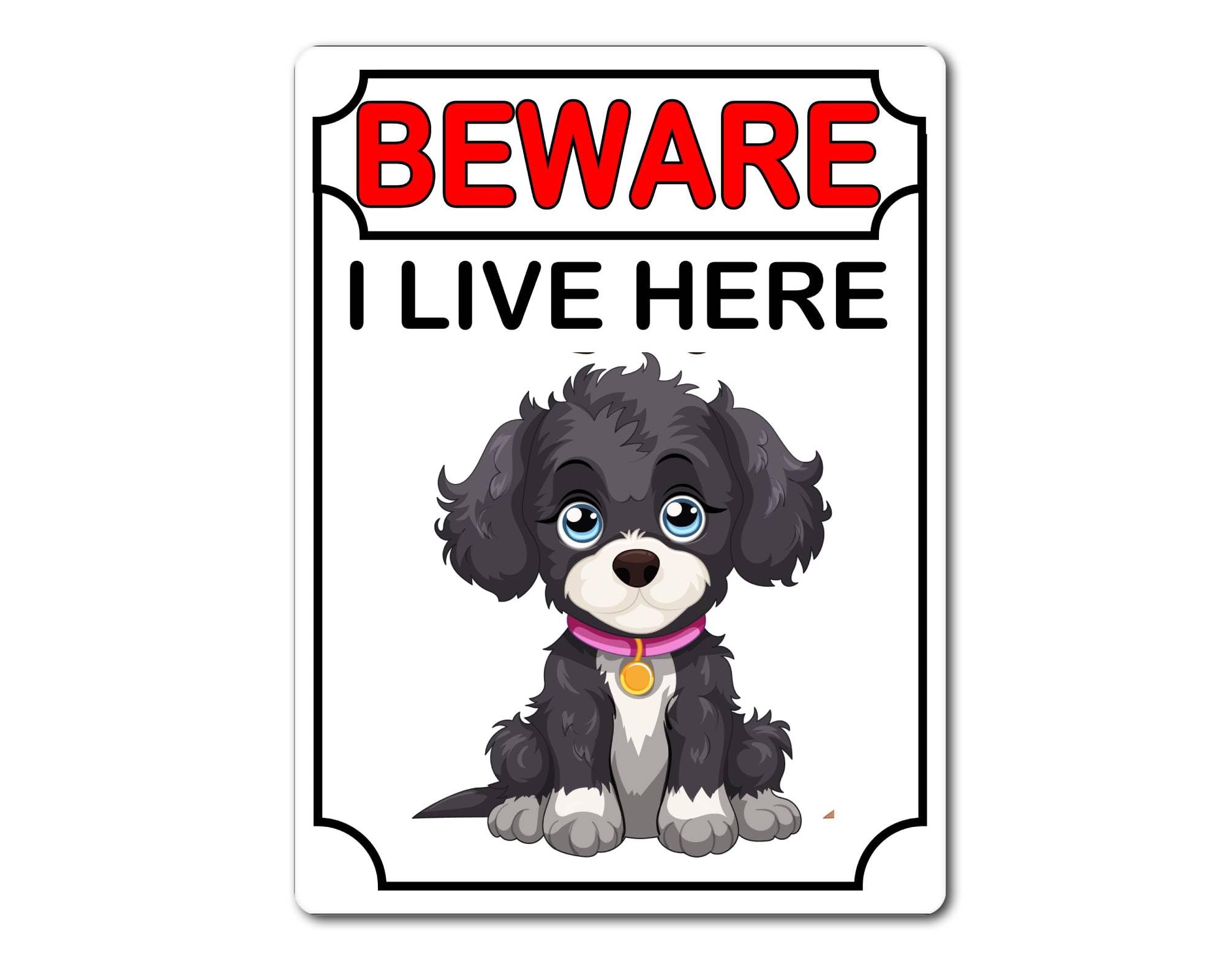 decalarama Jackapoo Metal Sign Gift – Beware I Live Here - Cute Fun Dog Novelty Aluminium Present