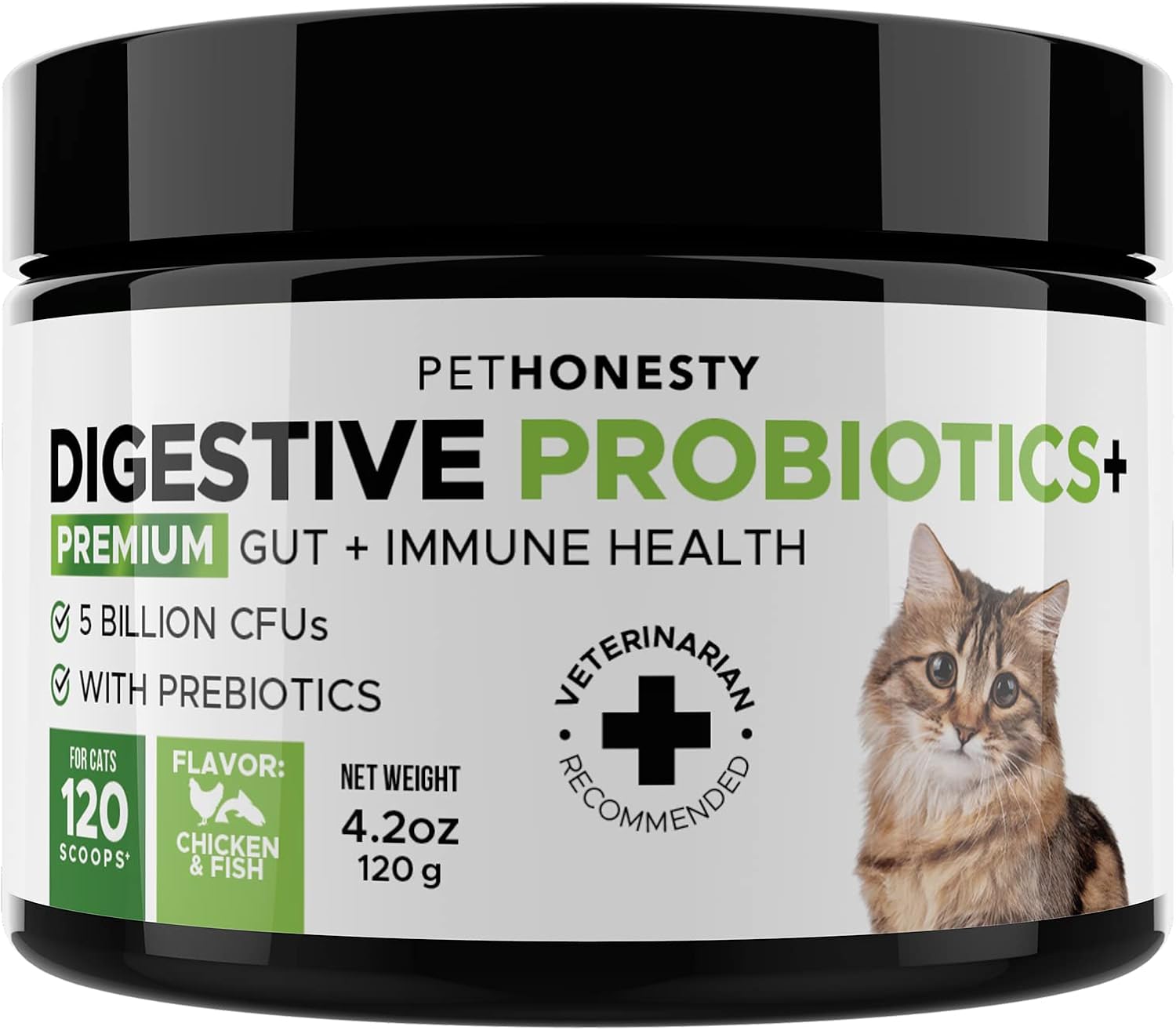 Buy Pethonesty Digestive Probiotics For Cats Bowel Support Digestive Supplement Probiotic For Cats Relieves Cat Diarrhea And Constipation Improves Digestion Allergy Immunity Overall Health Online In Indonesia B09236fwq2
