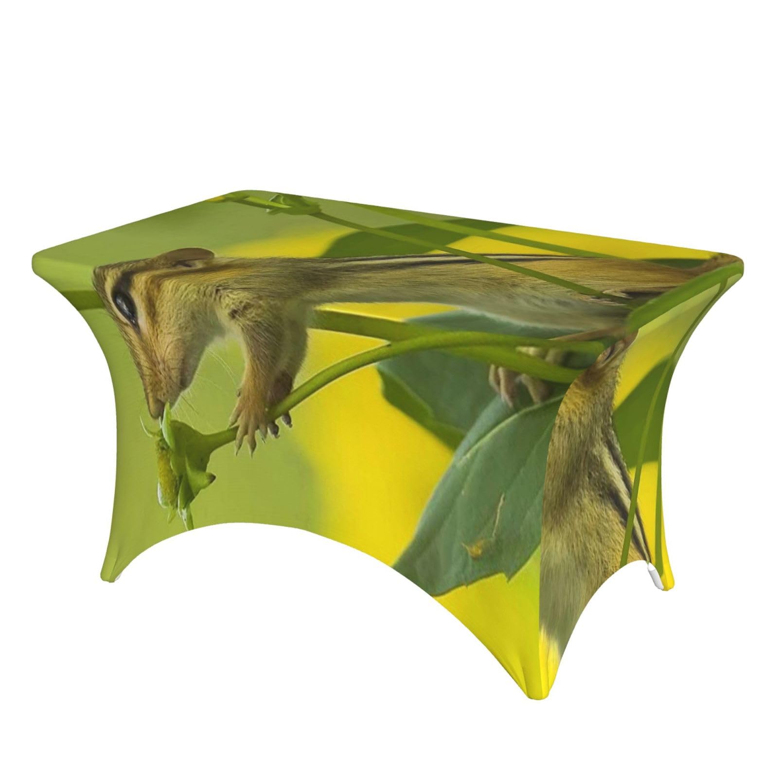 Dcehgew Wildlife Squirrel Flowers 4Ft Spandex Rectangular Table Cloth, Printed Fitted Elastic Tablecloths Washable Table Cover For Event, Wedding, Banquet & Party