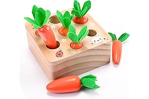 Montessori Toys for 1 Year Old, the Best Carrot Harvest Wooden Baby Toys