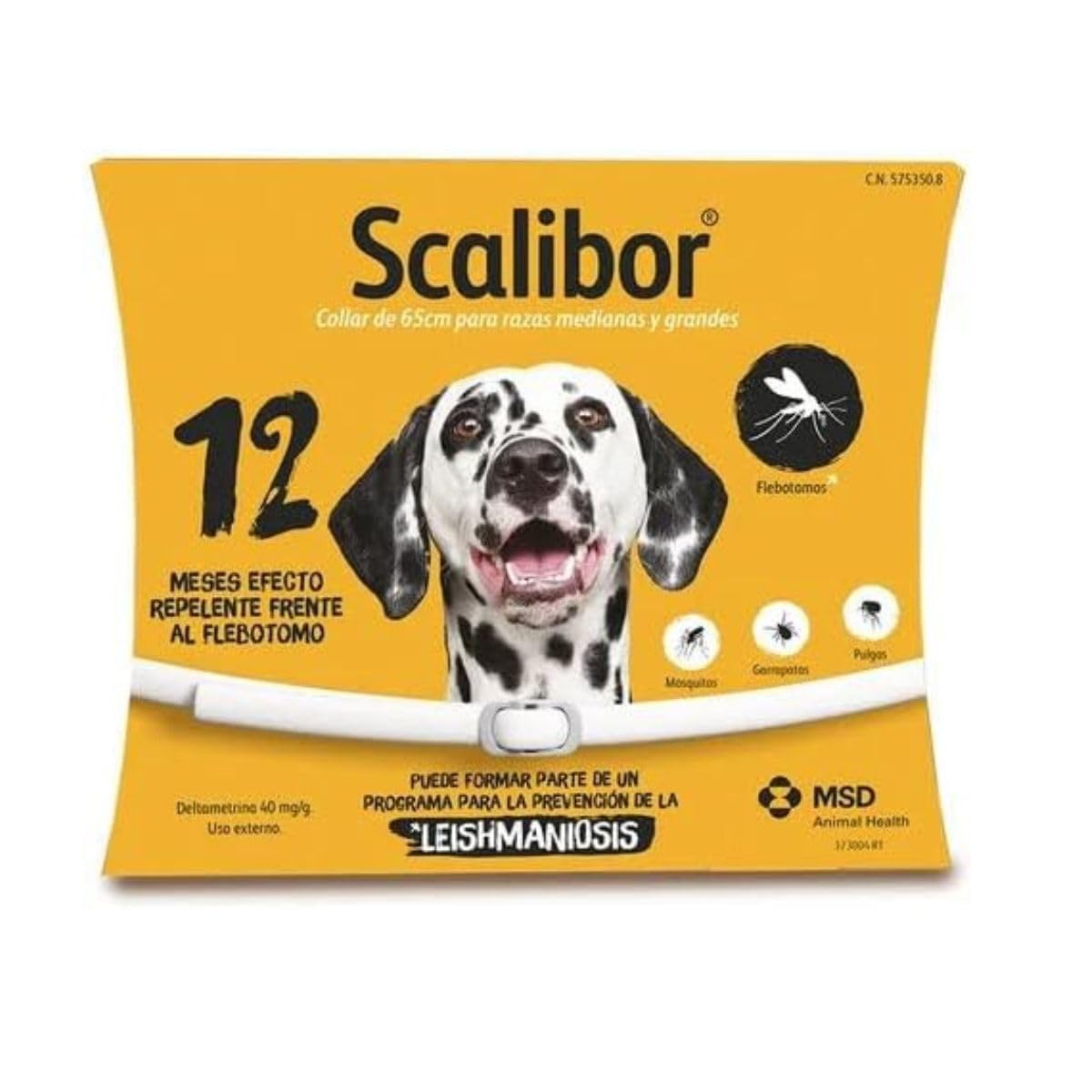 SCALIBOR Collar Proteccion 12 Meses (65cm)