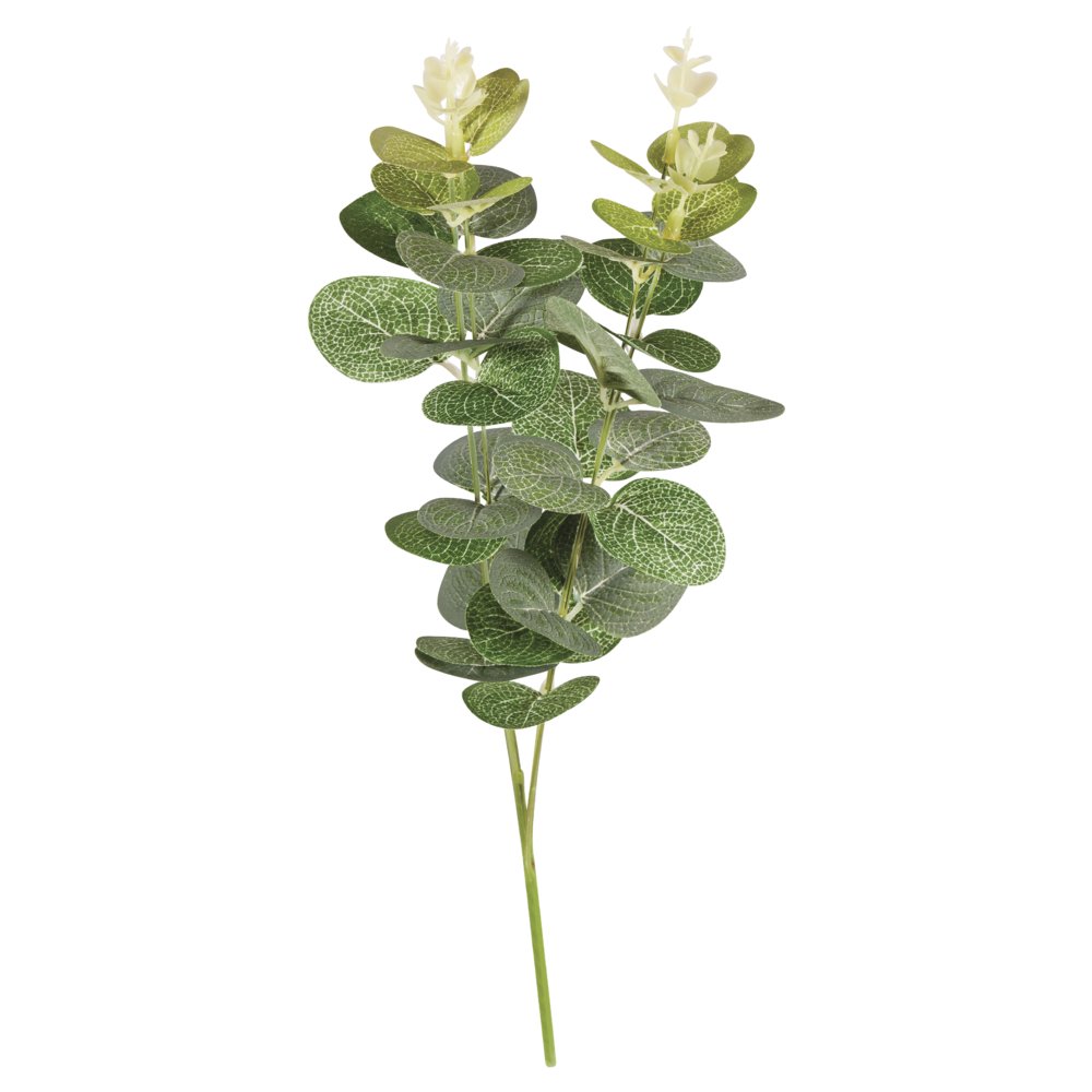 Rayher 55798000 Artificial Eucalyptus Leaf Spray, Faux Greenery Stem for Wreath Making, Crafting and Home Décor, 34cm