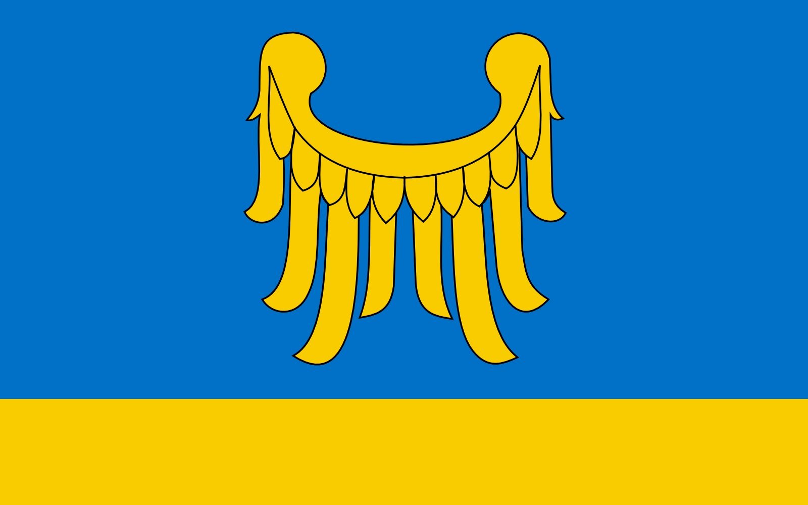 Drapeau de Rybnik grande taille - Pavillon officiel du powiat rybnicki
