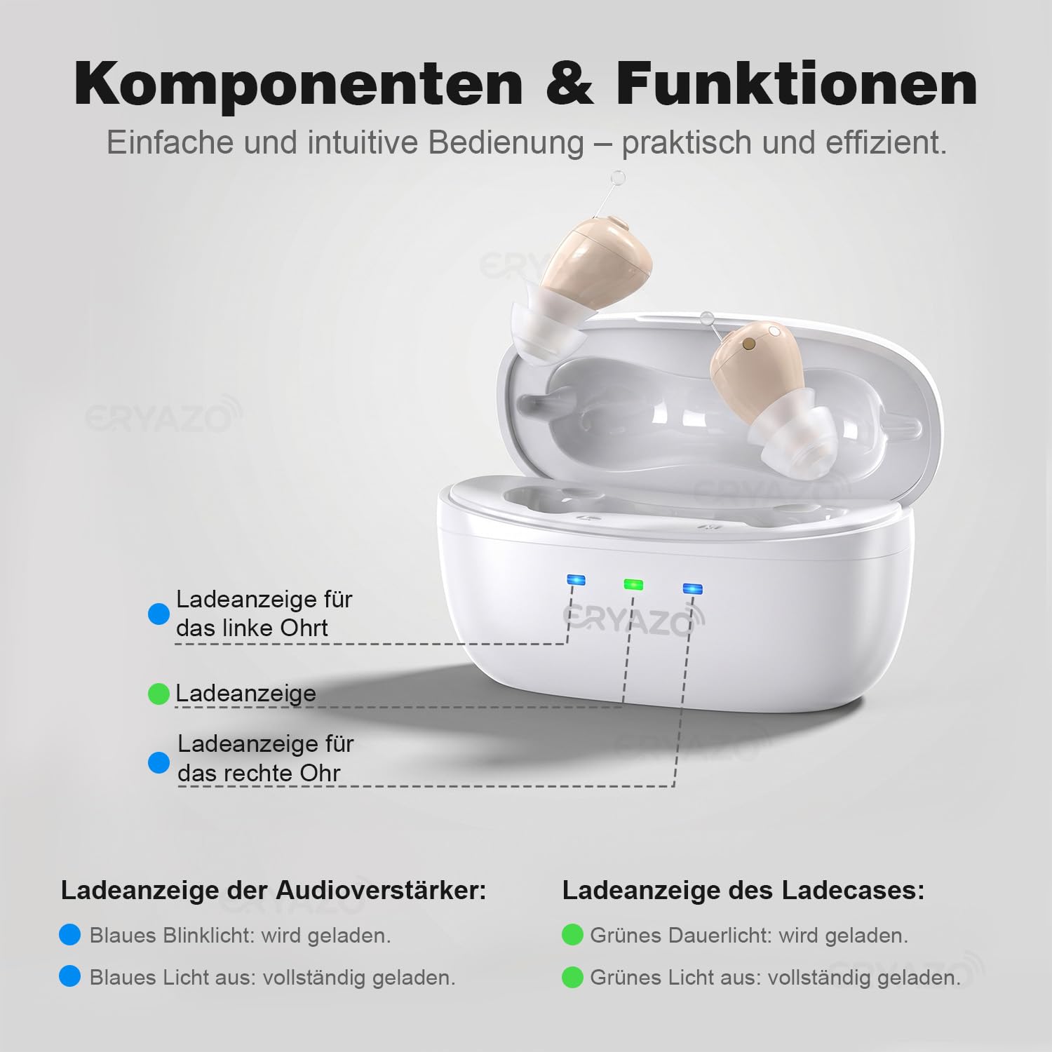 Wiederaufladbarer Audioverstärker, Geräuschunterdrückung, USB-Ladestation, Aufbewahrungsbox, ergonomische Passform