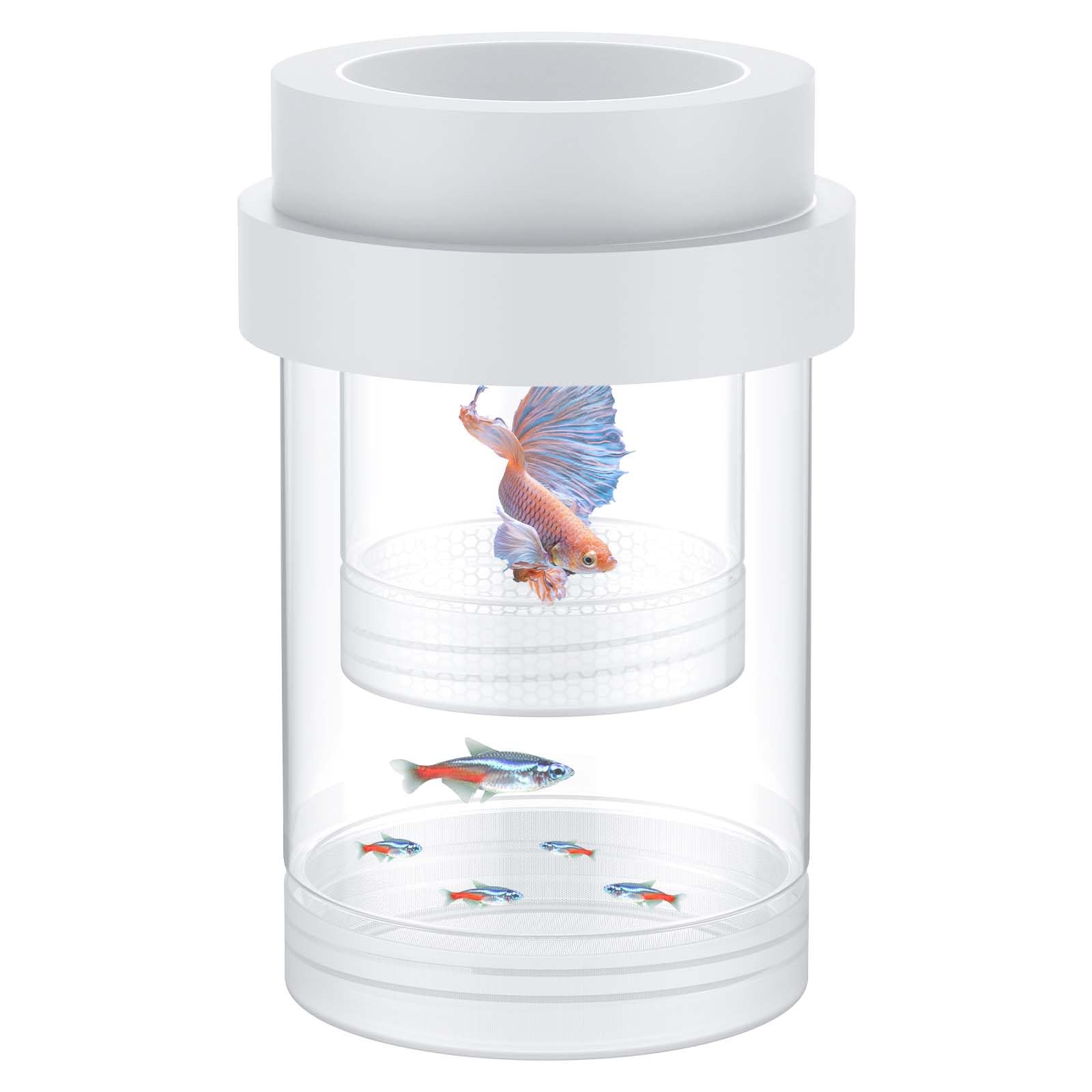 Pawfly Scatola per Riproduzione per Acquario, Box Galleggiante per Guppy, Separatore per Avannotti, Incubatrice in Plastica per Gamberetti, Betta e Pesce Pagliaccio, Medio