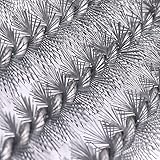 Zoom IMG-2 lucidatrice per pietre 2 9 Zoom IMG-2 lucidatrice per pietre 2 9