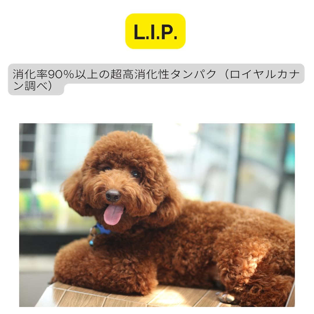 ロイヤルカナン　プードル　　7.5キロ ロイヤルカナン プードル 7.5キロ 2袋 ロイヤルカナン プードル