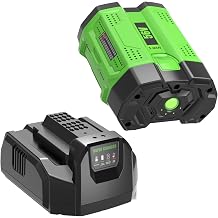 1 Pack Replacement for EGO 56V Battery 5Ah and CH2100 ChargerGreen