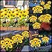 Solar Lights Outdoor Garden Decor,4 Pack with 24 Sunflower Lights,Solar Flowers Lights Waterproof,Birthday Gifts for Mom Women Grandma,Outside Decorative Stakes Light for Landscape Yard Patio Lawn