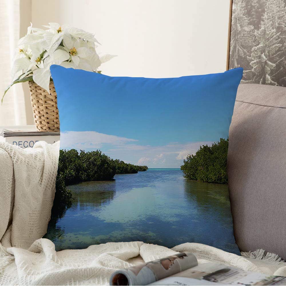 StarochaThrow Pillow Covers for Couch Sofa Bedding Natural Between Mangrove Forest Caribbean in Tree Organized Nature Transfer Parks Outdoor Colorful Decorative Pillows Cushion Case 18x18 Inch