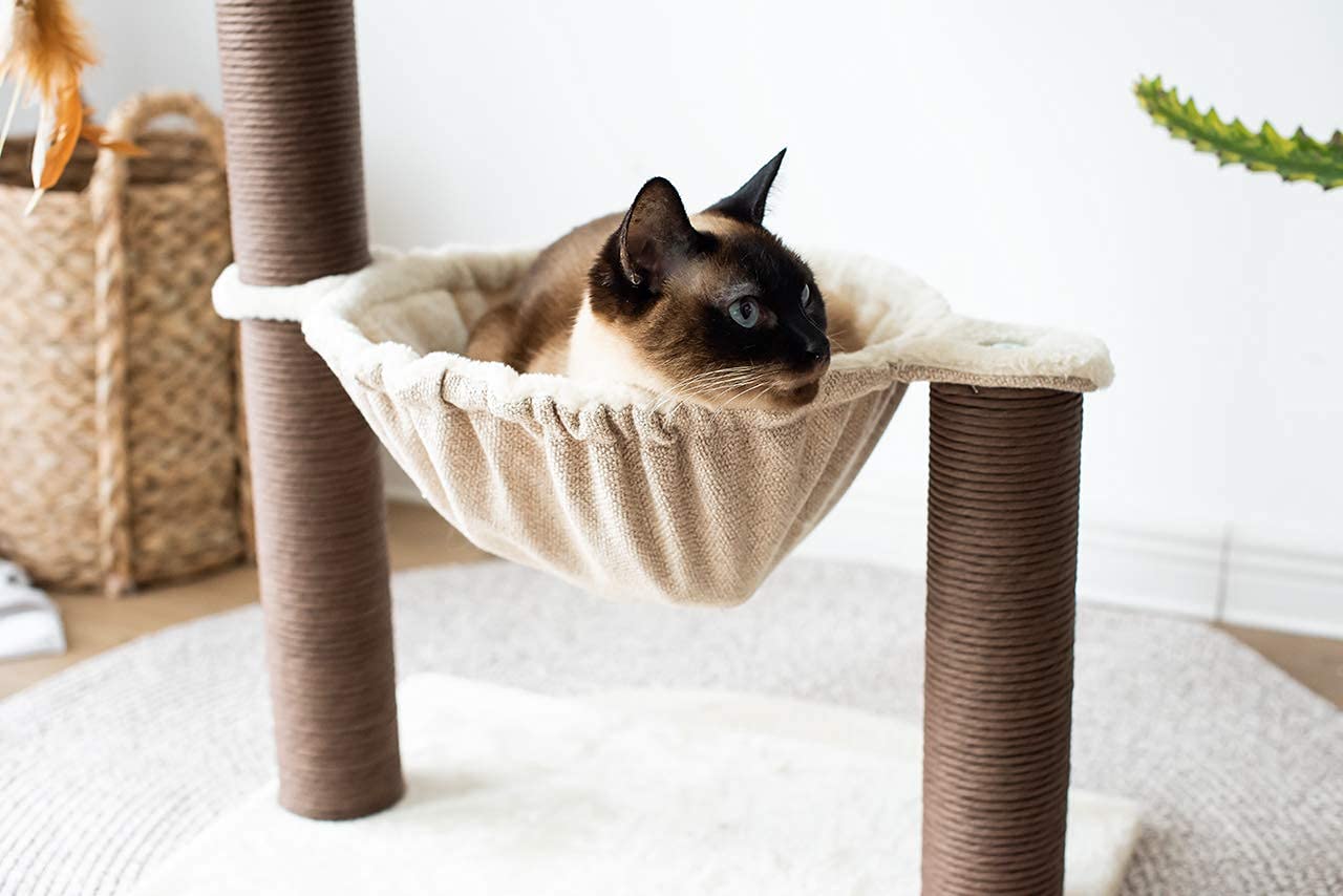 Catry Cat Tree with Feather Toy Cozy Design of Cat Hammock Allure