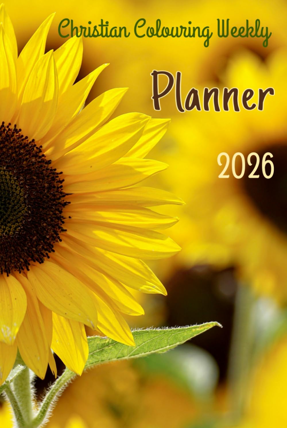 Christian Colouring Weekly Planner 2026: Inspirational 12-Month Calendar and Planning Journal with Bible Verses and Illustrations for Adults and Teens