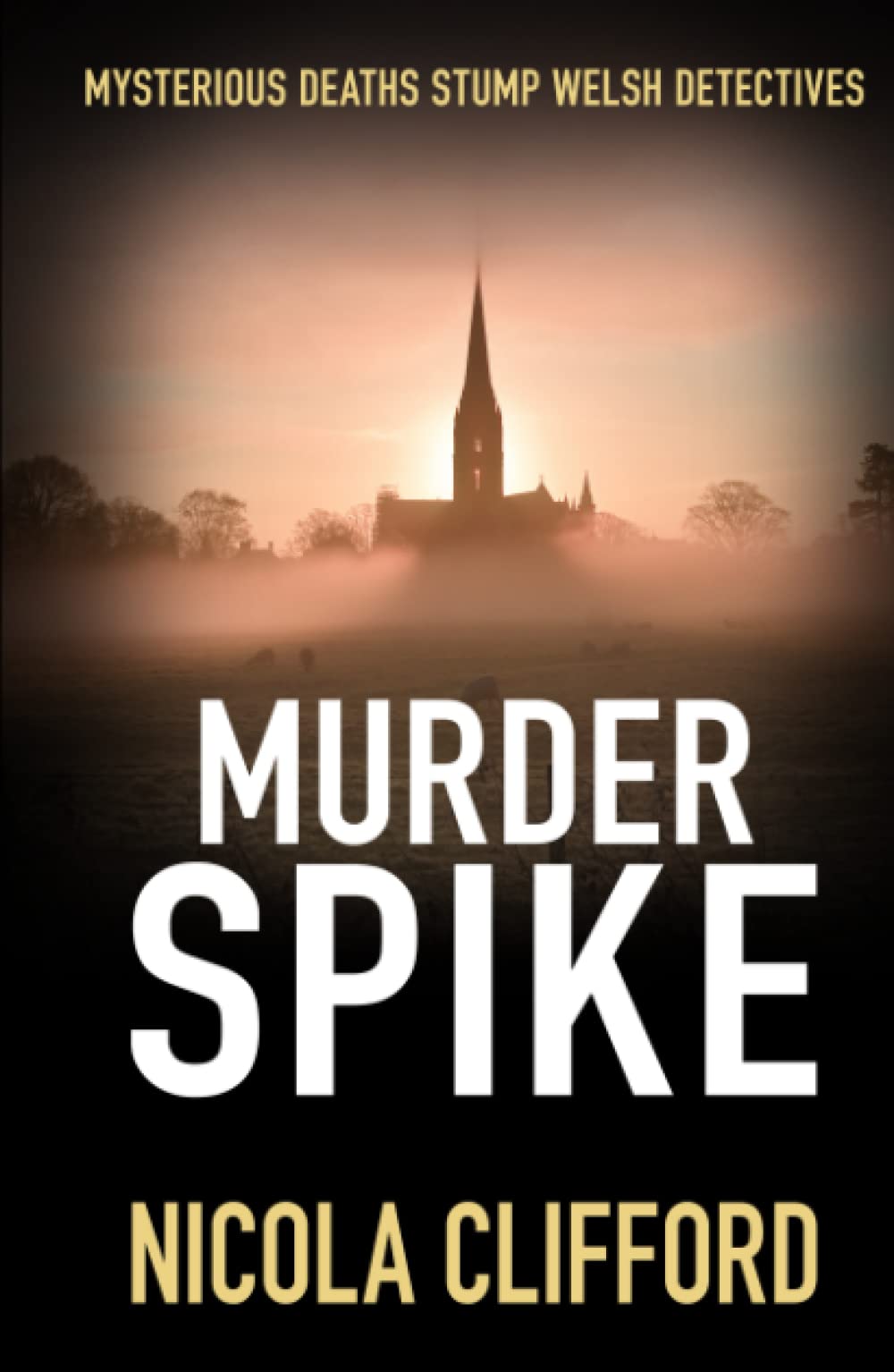 Murder Spike: Mysterious deaths stump Welsh detectives (The Welsh crime mysteries)