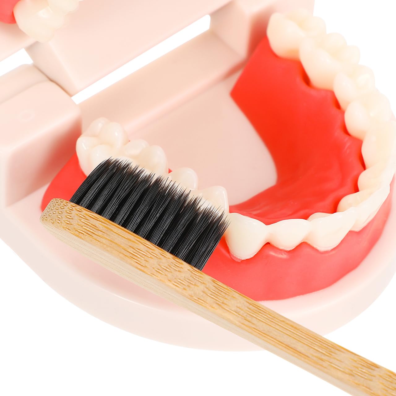 SUPVOX 1 ensemble de jeu éducatif en bois pour le brossage des dents avec lavage gargarisme outil d'apprentissage précoce pour la sensibilisation à l'hygiène brosse à dents incluse Couleur aléatoire