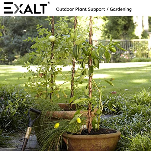 Image of EXALT Premium Natural Teak Wood Plant Support Sticks - Garden Sticks for Straightening Training and Supporting Plants - Strong and Durable Solution for Healthy Growth
