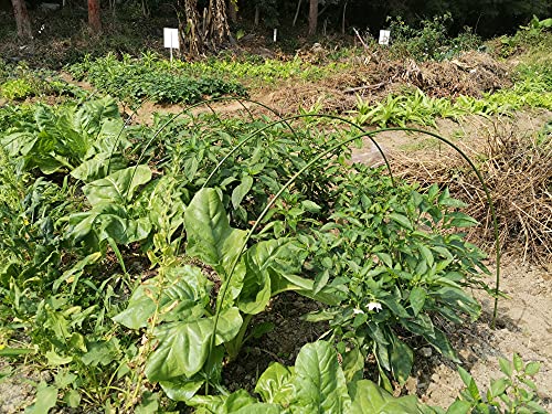 Recopilación y reviews de Arcos invernadero los más recomendados. 26 Imagen adicional