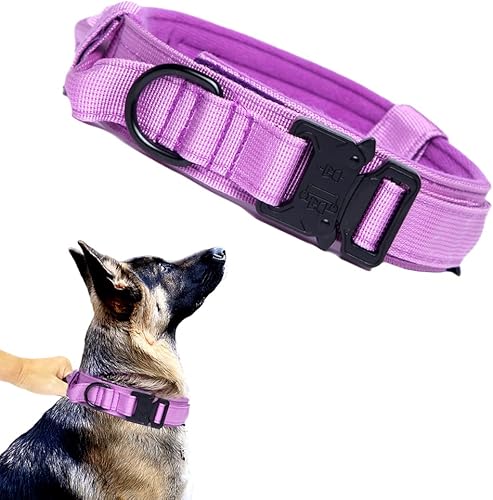 Xqpetlihai - Collar de perro táctico militar de nailon ajustable, hebilla de metal resistente con asa para entrenamiento de perros (morado, L)