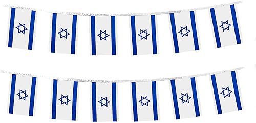 Miniatura 225 de Bandera de Argentina pequeña mini bandera argentina decoración para desfiles, fiestas, aulas, jardines y festivales (Argentina)