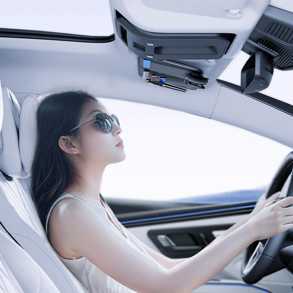 Organizador de Visera Solar Coche para RX(6seats) 2020-2025, Organizador Visera Coche PU Almacenamiento Visera Solar Cuero Accesorios