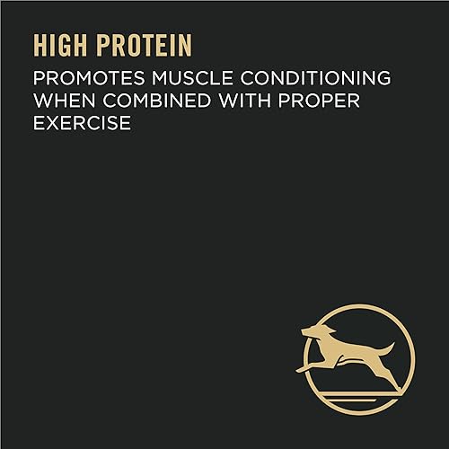 Miniatura 7 de Purina Pro Plan Large Breed  Giant Breed Chicken  Rice Adult Dry Dog Food  Wet Dog Food Packaging May Vary